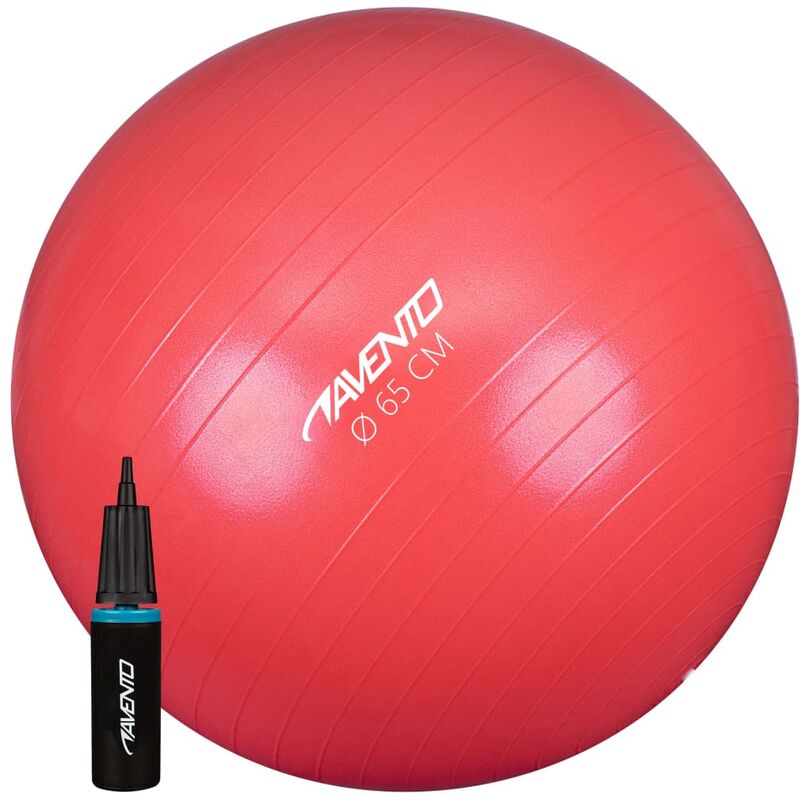 

Pelota de fitnes/gimnasio y bomba rosa 65 cm diámetro - Rosa - Avento