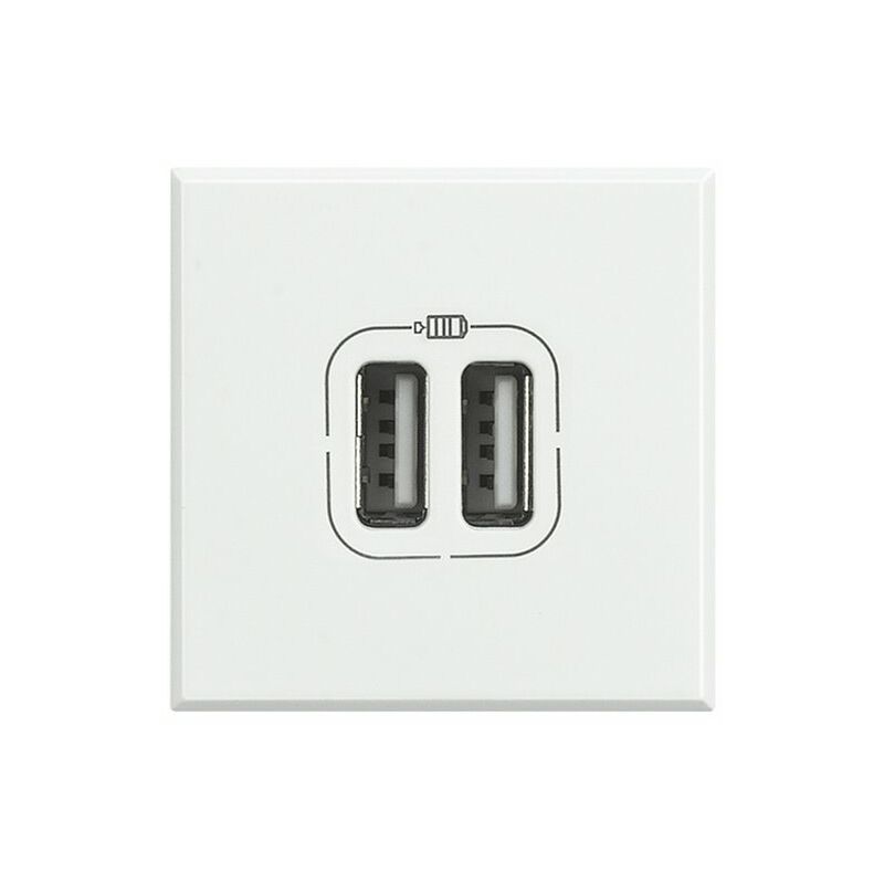 

Cargador USB doble Axolute HD4285C2 Blanco 2modulos - Bticino