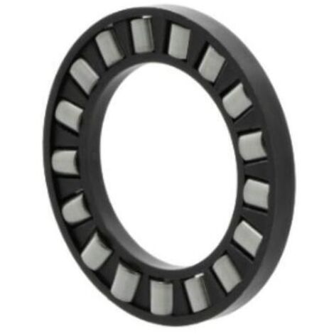 Axial-Zylinderrollenlager K89311 -TV ID 55mm AD 105mm 0,182kg INA