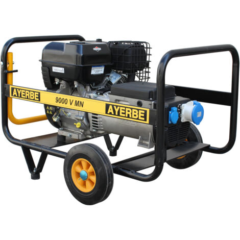 AYERBE - 5416030 - Groupe électrogène 9000 V MN Vanguard 7200 W manuel