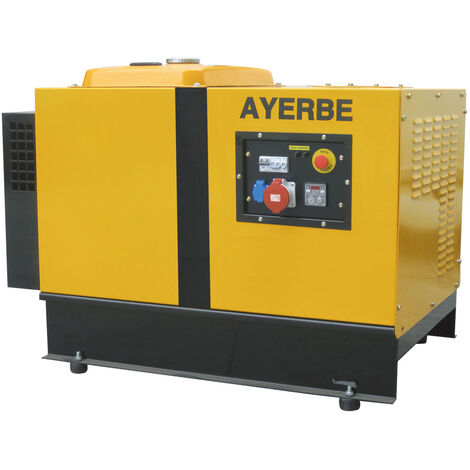 AYERBE - 5417690 - Générateur insonorisé HONDA 13000 TX avec démarrage électrique