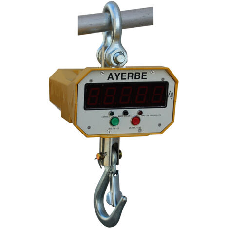 AYERBE - 583810 - Crochet de pesage 5 tonnes