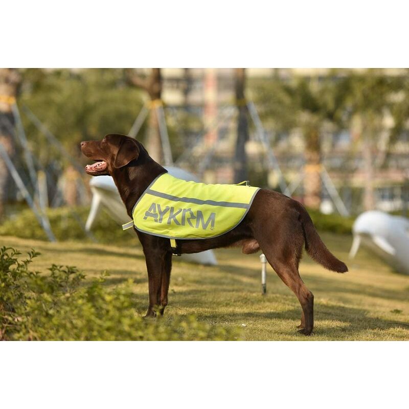 AYKRM reflektierende Sicherheitsweste für Hunde (55, Gelb)