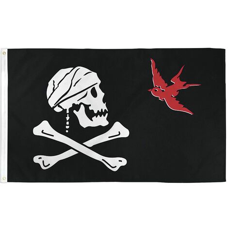 AZ FLAG Bandiera Pirata SCIABOLA 90x60cm - Bandiera dei Pirati – Teschio 60  x 90 cm : : Giardino e giardinaggio
