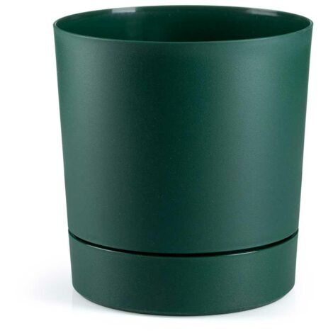 Azaleen-Avocado-Topf mit Untertasse 17,5
