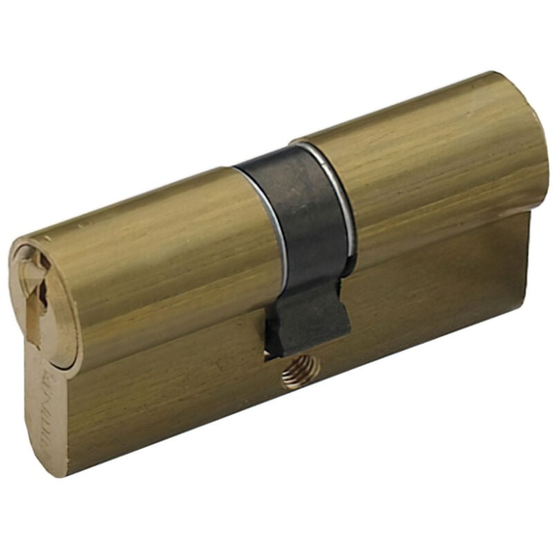 Cylindre Yale monobloc 30x30/r13,5 nickelé