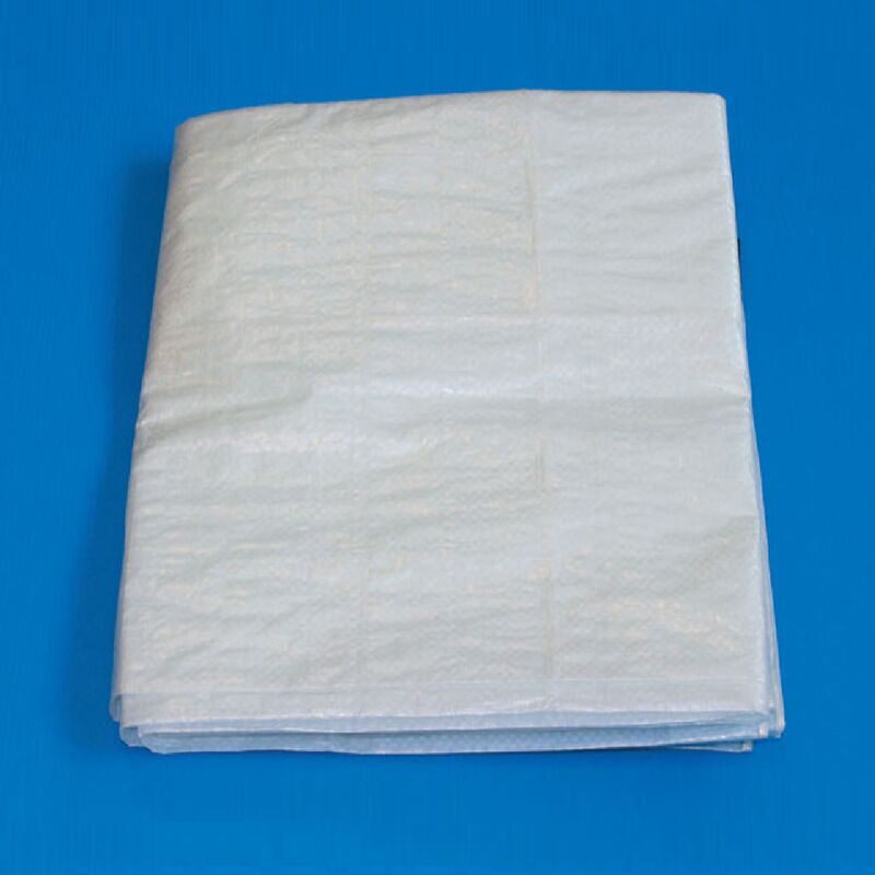 Inferramenta - Bache polye'thyle'ne blanche standard 2x3 m bache de couverture e'tanche avec illets et renforce'e sur les bords