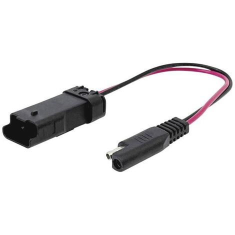 BAAS BA6 Cavetto DDA Ducati-EURO4 SAE/Multiconnector