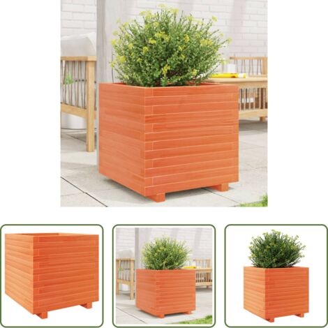 Bac à fleurs -  Jardinière cire marron 50x50x49,5 cm bois de pin massif