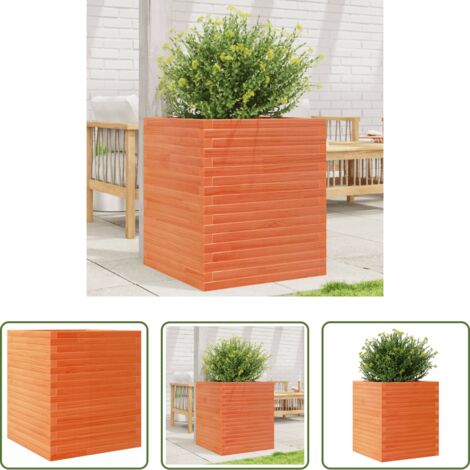 Bac à fleurs -  Jardinière cire marron 60x60x68,5 cm bois de pin massif
