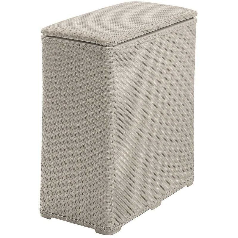 Bac à Linge 70Lt Beige à Faible Encombrement Robinia