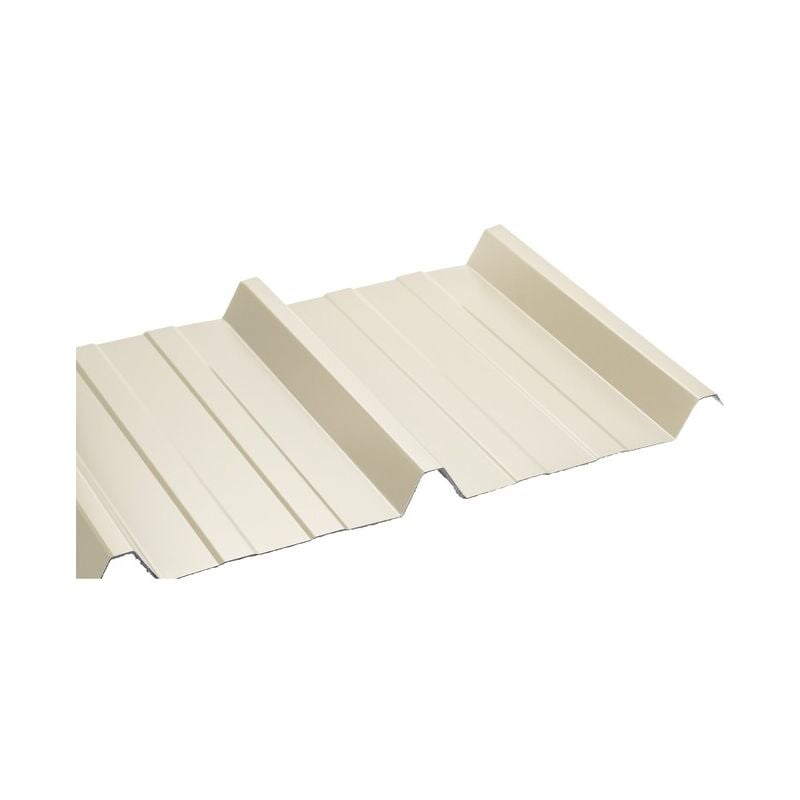 Bac acier laquée 1045 63/100 - Coloris - Beige 1015, Largeur - 105 cm, Longueur - 250 cm