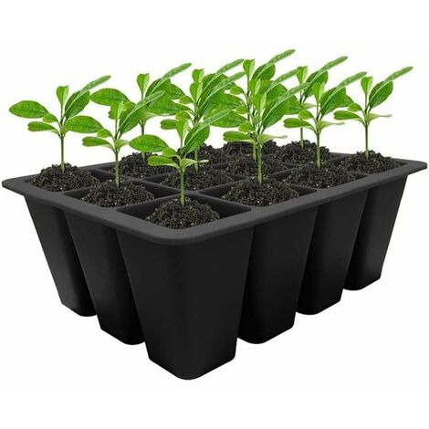 Bac de germination pour plantes - Bac à herbe pour chat - Sans sol - Avec  trous de drainage - Pour intérieur ou extérieur