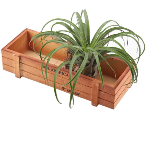 Bac de fleurs vintage en bois rectangle pour plantes succulentes - Pot, dimensions 22.7x10x4.8cm, naturel