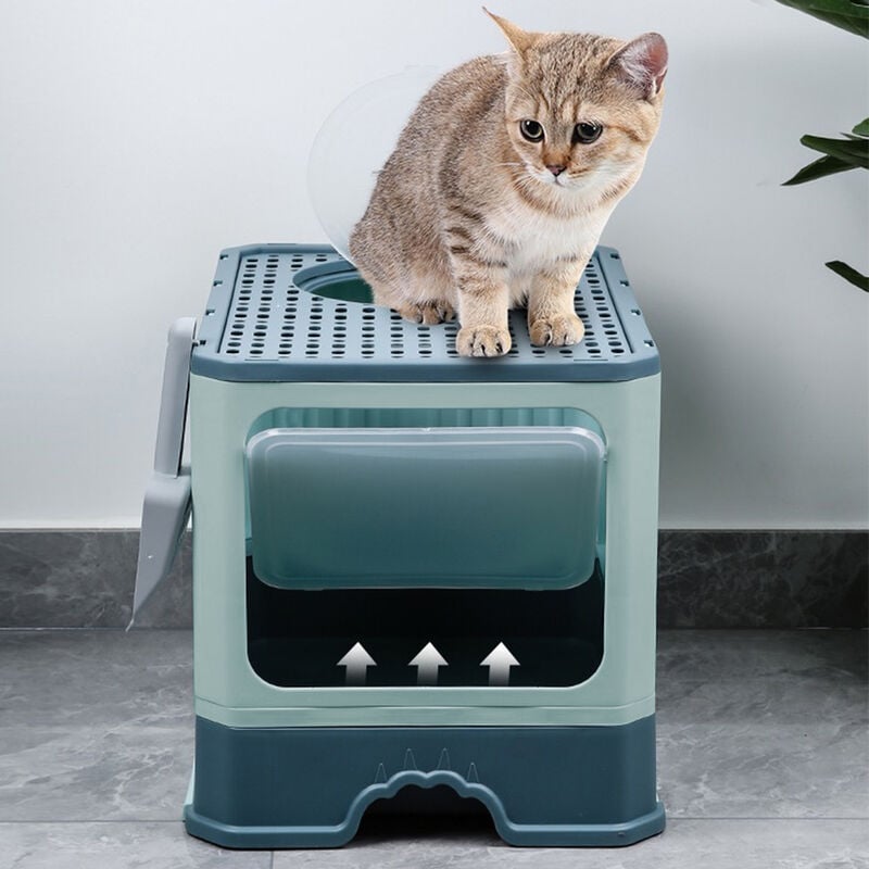 Bac Litière Chat - Maison de Toilette pour Chat Fermée - 50 x 35 x 38cm - Vert d'eau foncé