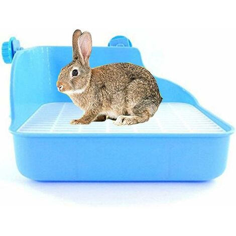 Bac Litière de Lapin Maison de Toilettes pour Lapin Hamster Rat Gerbille Souris Cochon d'Inde bleu