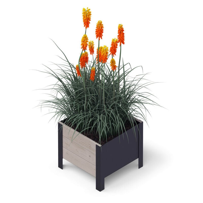 Bac surélevé ergonomique en bois Upyard pour intérieur et extérieur, 36x36x32 cm, gris