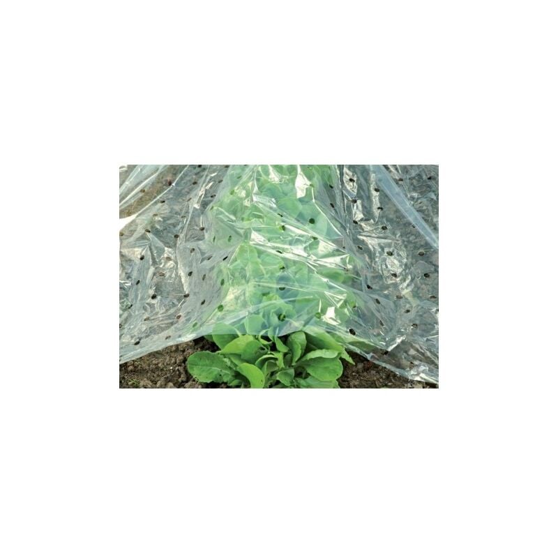 Bache anti froid légume 1,5X10m transparent Circumpro