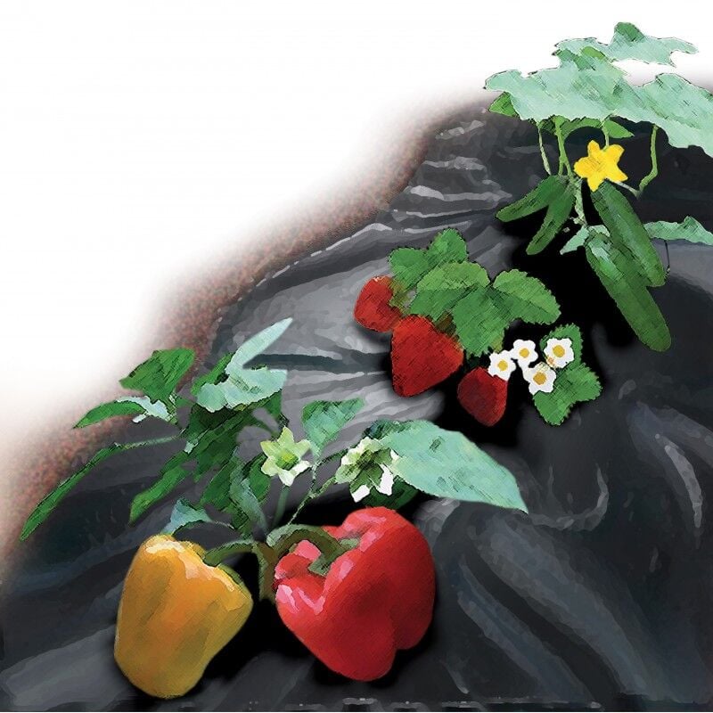 Bache anti mauvaise herbes ex 1,5x10m 50g/m2, noir