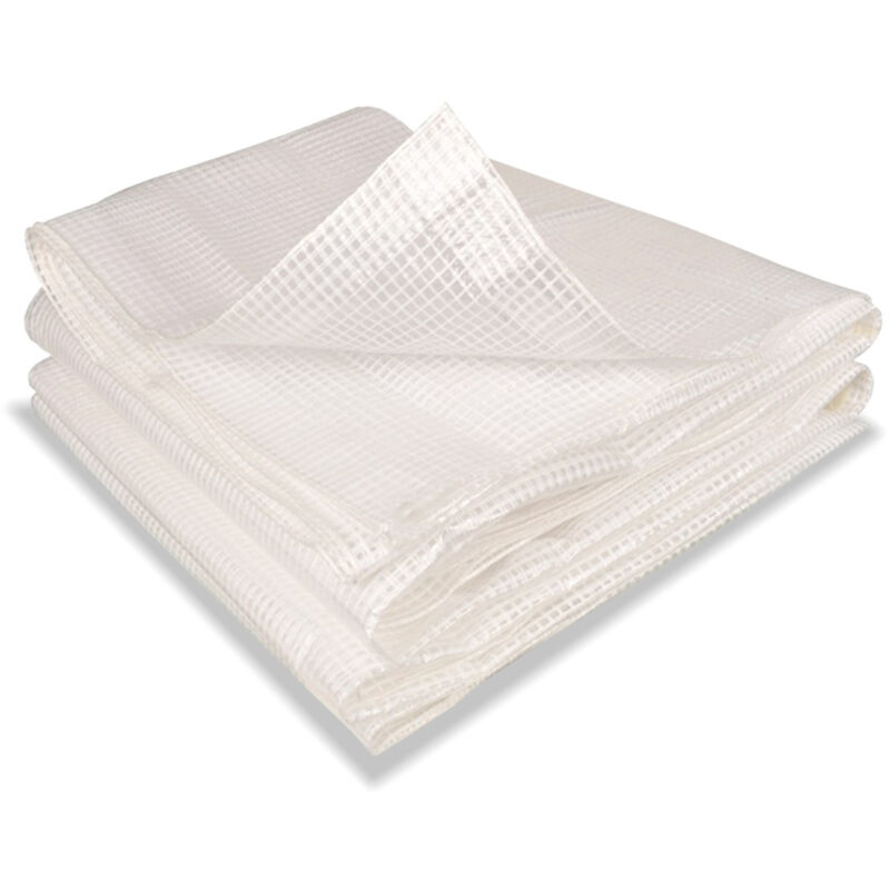 Bâche armée transparente 5x8 m renforcée