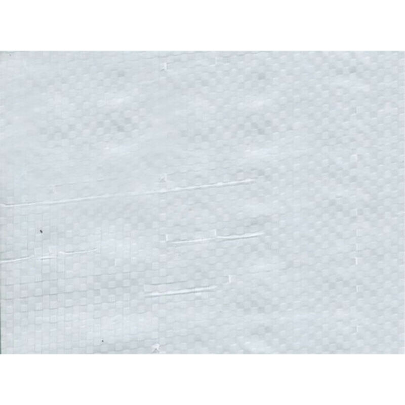 Bâche de protection 100g avec oeillets - Blanc 6m x 5m Blanc