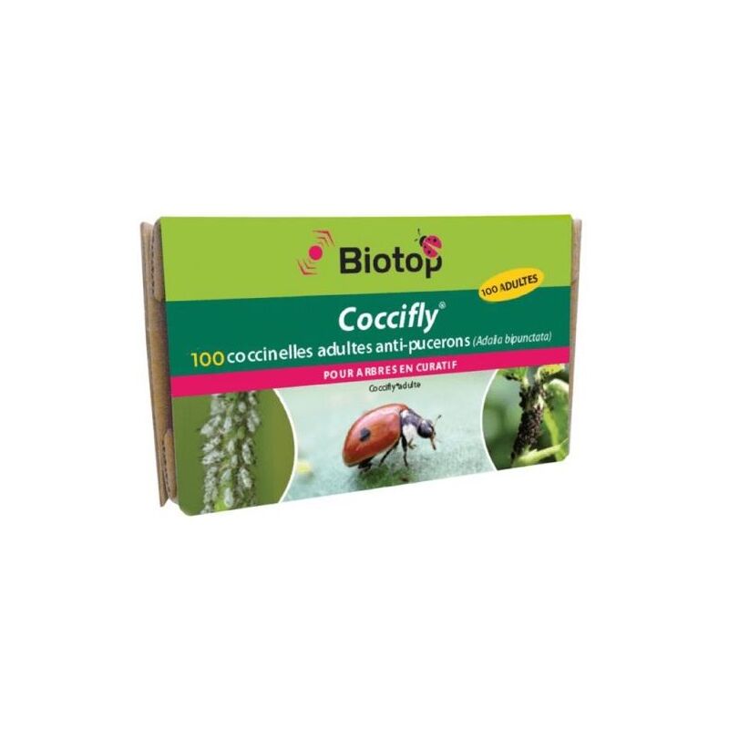 Biotop - 100 coccinelles adultes anti-pucerons - Coccifly