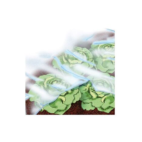 Bache jardin 1,5x10m 17 g/m2, blanc