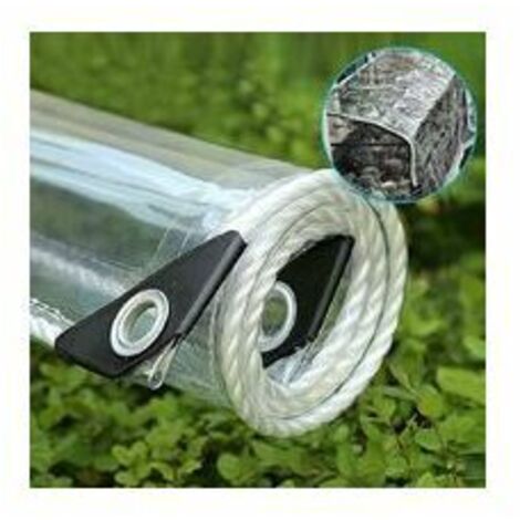 Bâche transparente à œillets, bâche PVC imperméable 420 g/m2, idéale comme bâche pour serres, auvents extérieurs, avec corde Cisea et sangles 2x1m