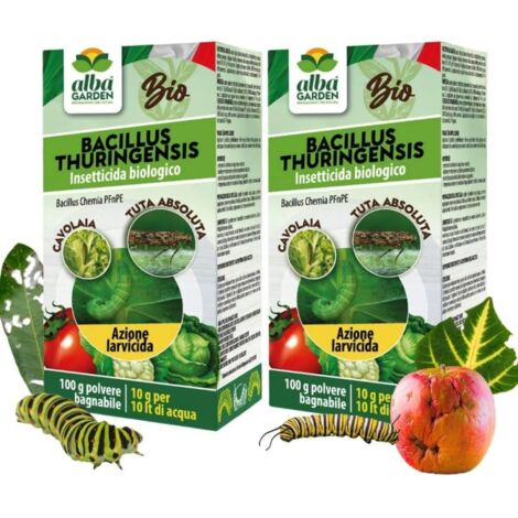 Bacillus Thuringensis Contro Insetti, Prodotto Naturale Biologico per Piante Contro Parassiti Insetti Larve di Orto e Giardino Polvere 100 g x 2 Pz