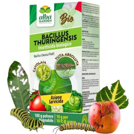 Bacillus Thuringensis Contro Insetti, Prodotto Naturale Biologico per Piante Contro Parassiti Insetti Larve di Orto e Giardino Polvere x 100 g (2 x 50g)