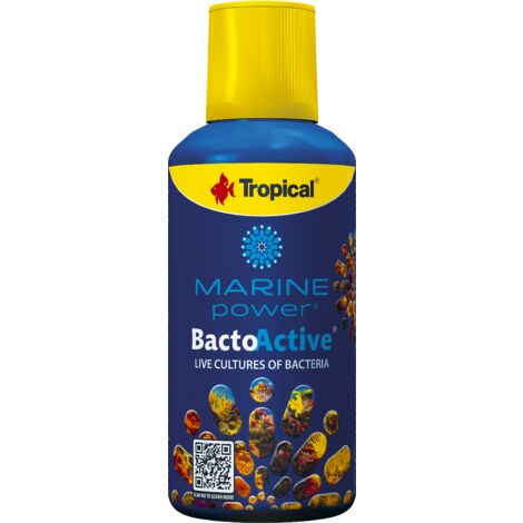 Bacto Active Tropical 250 ml