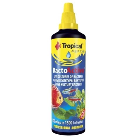 Bacto attivo tropicale 100 ml