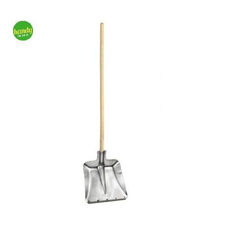 Badile Hallenser Masidef