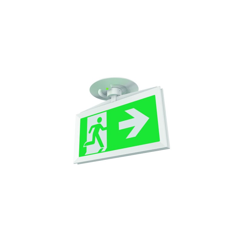 Ultraled 2 Spot - Baes Evacuation Dynamique Sati - Encastré Plafond - Trou Diamètre 67mm - 45 Lumens - Ip43 Ik04. Nf Environneme