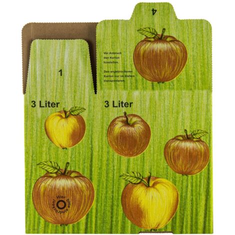 Bag in Box Karton 3 L Liter Apfelsaft Schachtel Saftkarton Faltkarton Pappkarton