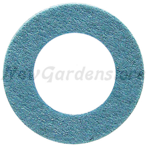 Bague BRIGGS ET STRATTON 221172