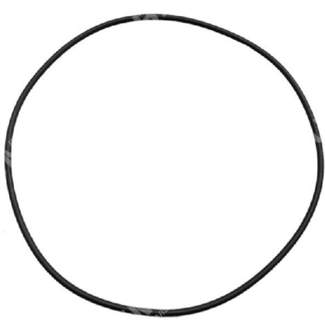 Bague d'étanchéité corps de pompe pour motopompe MAORI - 027486