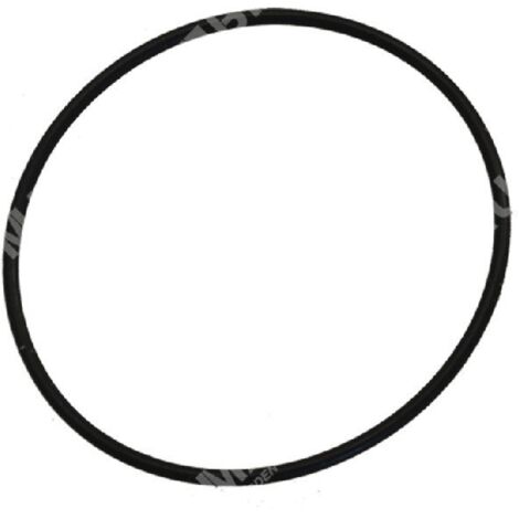 Bague OR pour pompes BERTOLINI COMPATIBLES - 022353