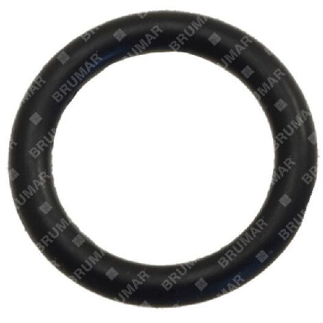 Bague OR pour pompes BERTOLINI COMPATIBLES - 022354