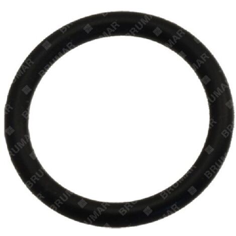 Bague OR pour pompes BERTOLINI COMPATIBLES - 026223