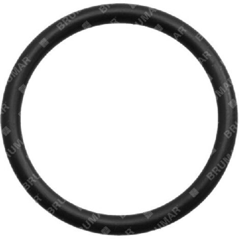 Bague OR pour pompes BERTOLINI COMPATIBLES - 049253