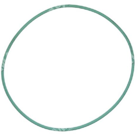 Bague OU pour pompes BERTOLINI COMPATIBLES - 035235