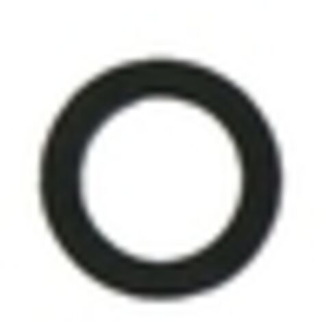 Bague pour BRIGGS ET STRATTON 271716