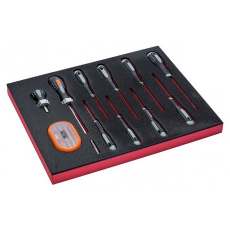 BAHCO - Jeu de tournevis TORX®/embouts, module mousse 2/3 Fit&Go - 12 pcs