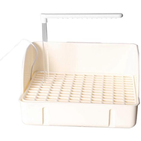 Baignoire automatique pour perruches avec pompe, robinet de baignoire pour perroquet