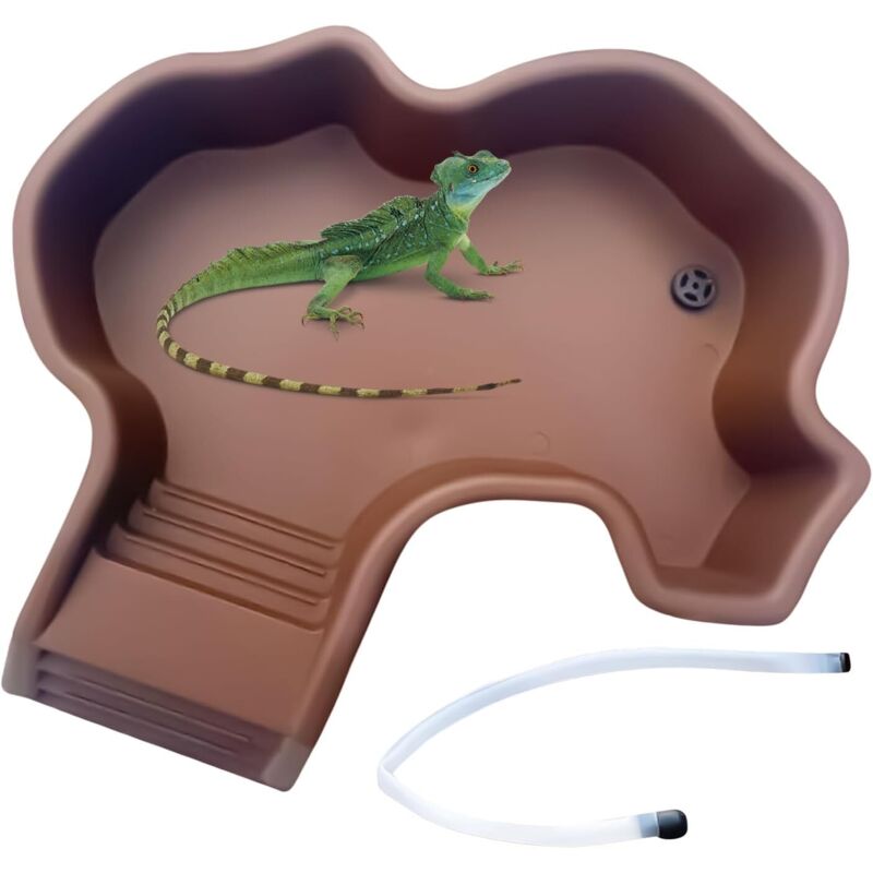 Baignoire pour tortues - tortues - baignoire avec rampe – Baignoire de