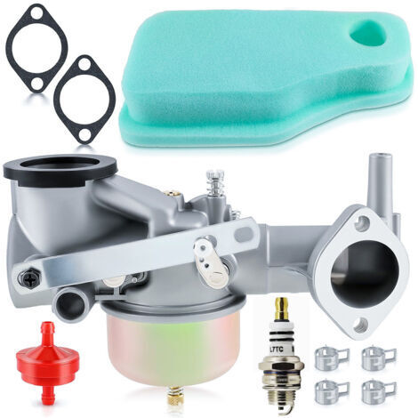 Bailitong 491590 Kit de carburateur 390811 392152 191700 192700-KZQ
