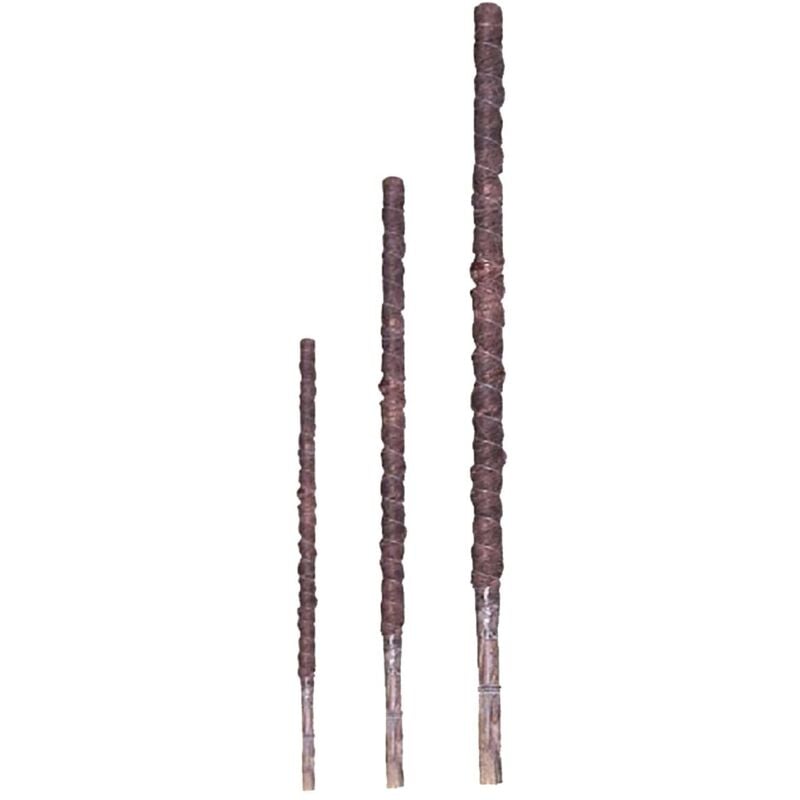 

Bala Tutor Fibra de Coco - 20 unidades - 60cm. Alt. x 32mm. Diam.