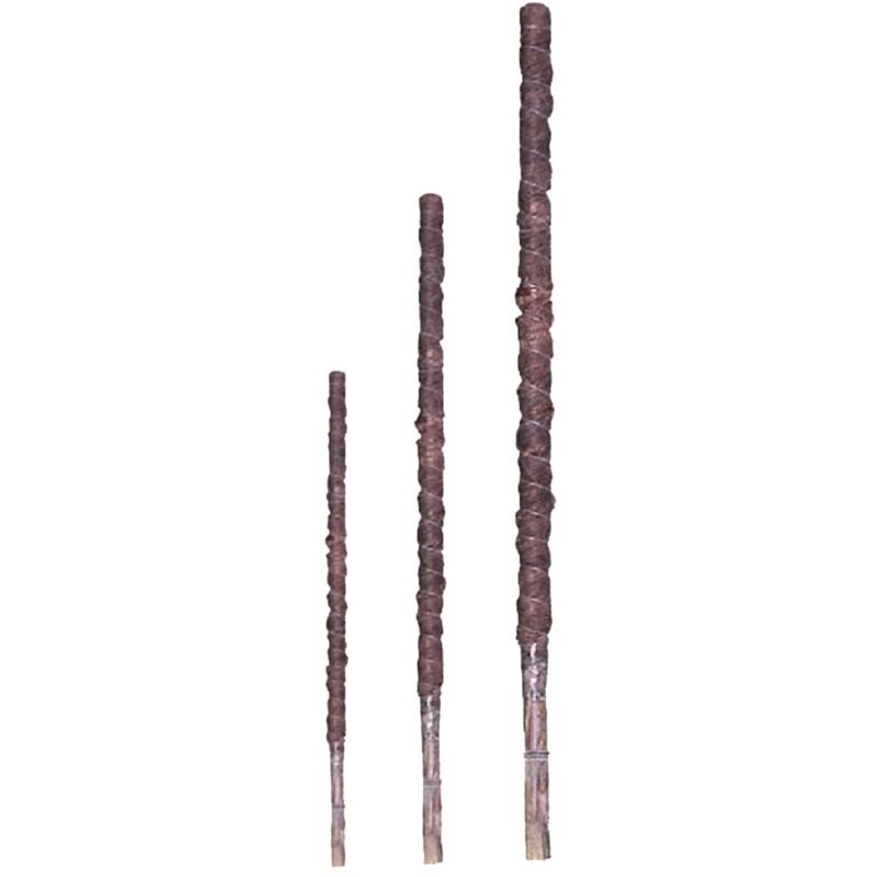 

Bala Tutor Fibra de Coco - 20 unidades - 120cm. Alt. x 42mm. Diam.