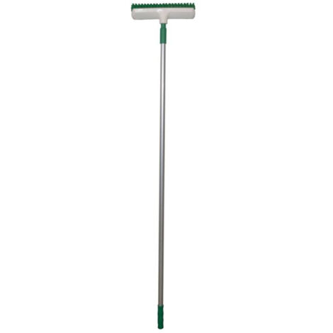 Balai Brosse 30 Cm Emmanche